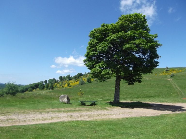 Col de la Perheux